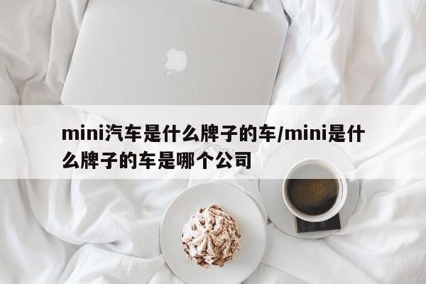 mini汽车是什么牌子的车/mini是什么牌子的车是哪个公司