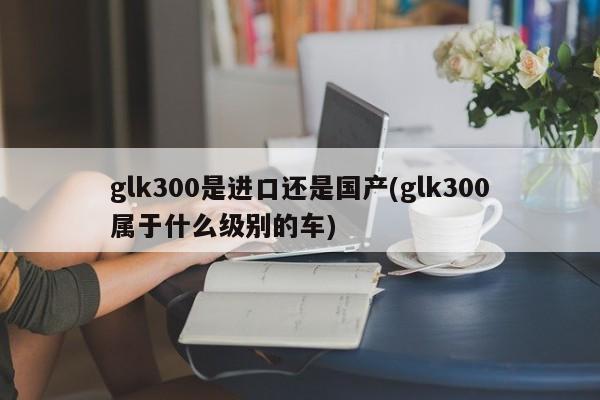 glk300是进口还是国产(glk300属于什么级别的车)