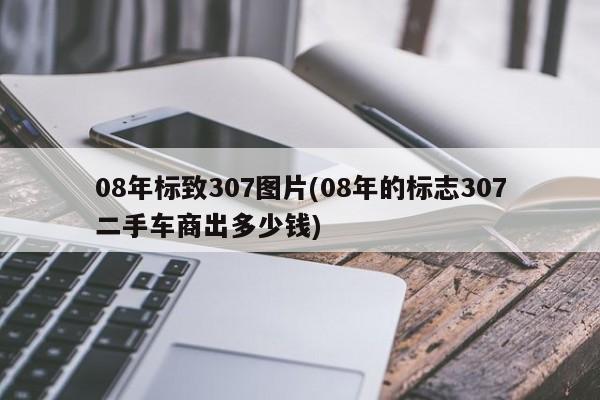 08年标致307图片(08年的标志307二手车商出多少钱)