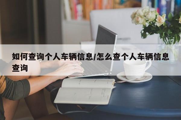 如何查询个人车辆信息/怎么查个人车辆信息查询