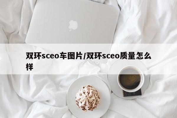 双环sceo车图片/双环sceo质量怎么样