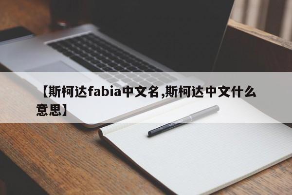 【斯柯达fabia中文名,斯柯达中文什么意思】